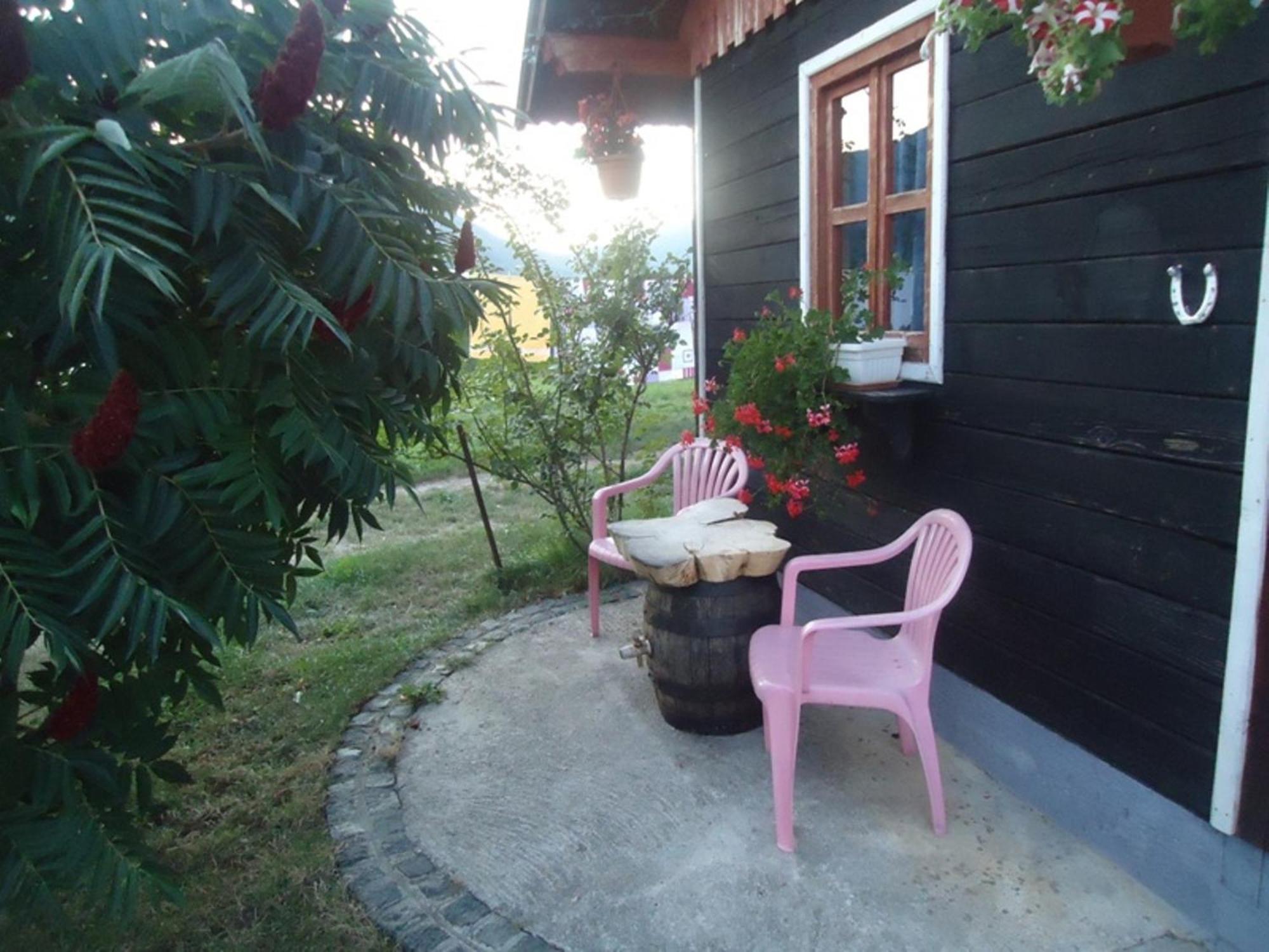 House Ilija Hodak Seliste Dreznicko Camera foto